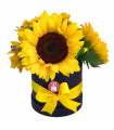 BOX WITH SUNFLOWERS